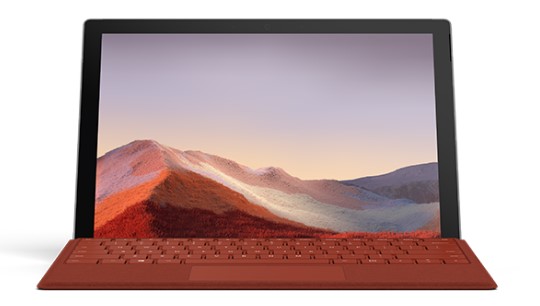 巴东清洁和维护 Surface
